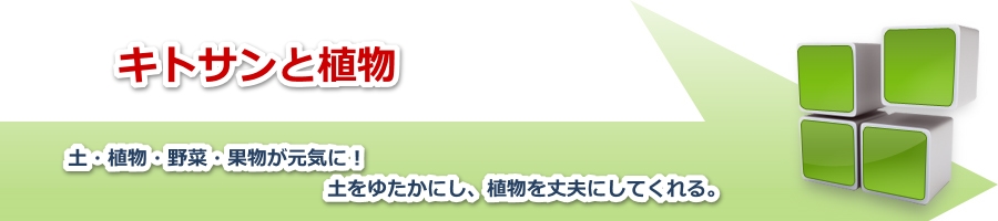 キトサンと食物