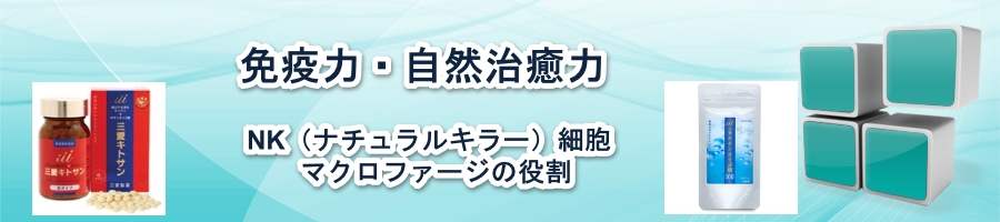 �Ɖu�זE�̃`�[���v���[