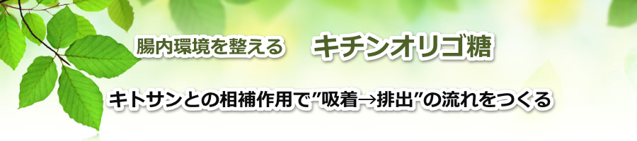 �������𐮂���u�L�`���I���S���v